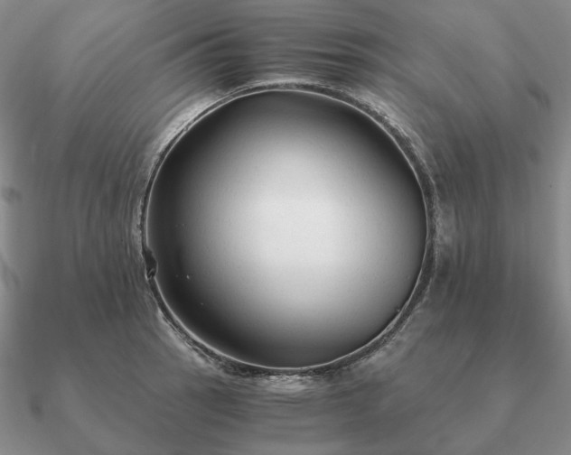 X0000090921137200708061538