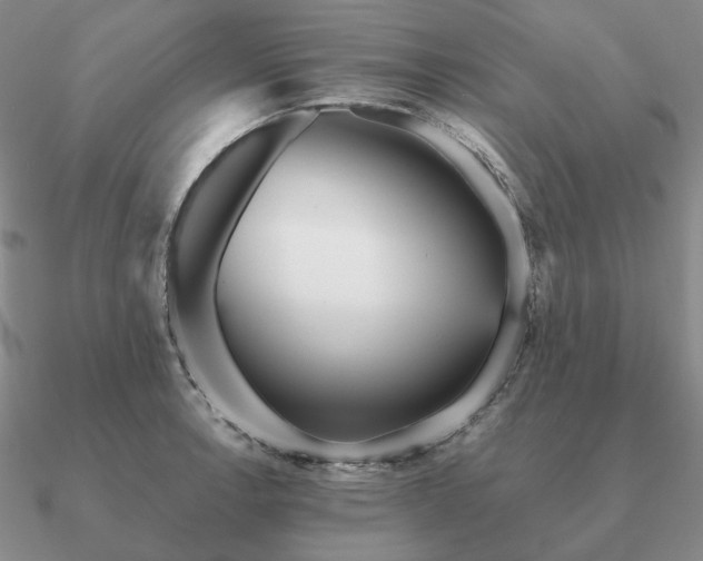 X0000090921138200708061538