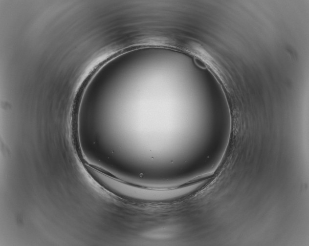 X0000090921139200708061538