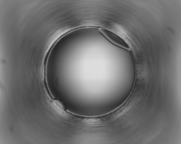 X0000090921140200708061538