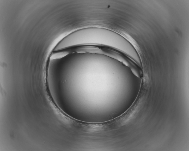 X0000090921144200708061538