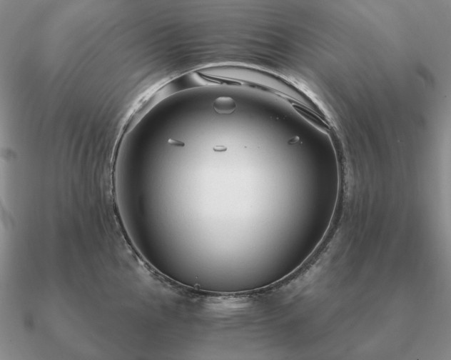 X0000090921145200708061538