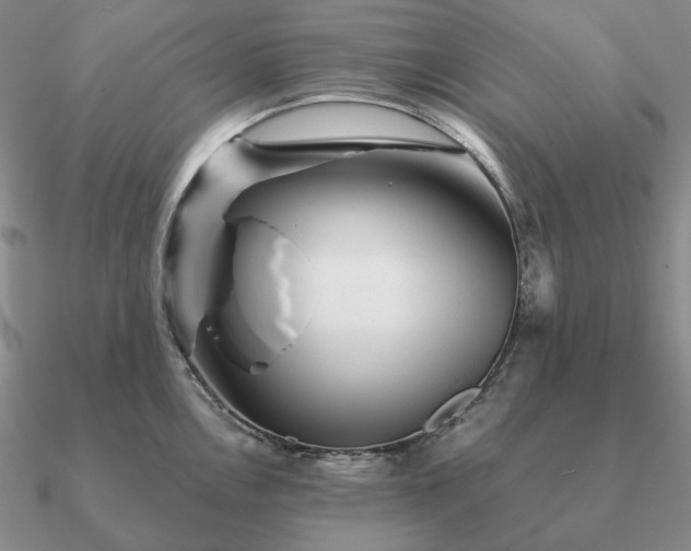 X0000090921146200708061538