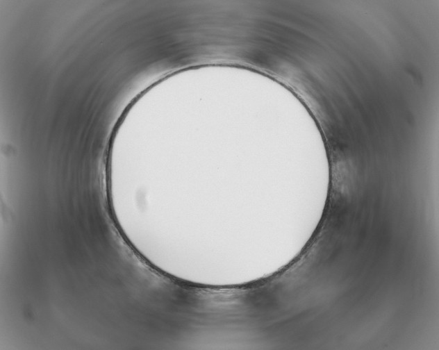 X0000090921150200708061538