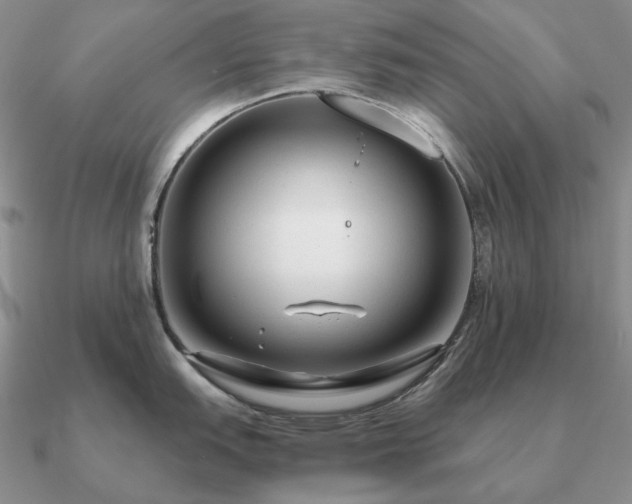 X0000090921151200708061538