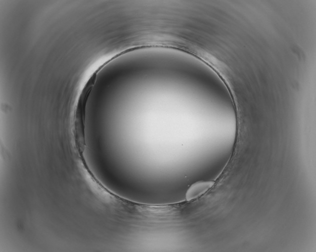 X0000090921152200708061538