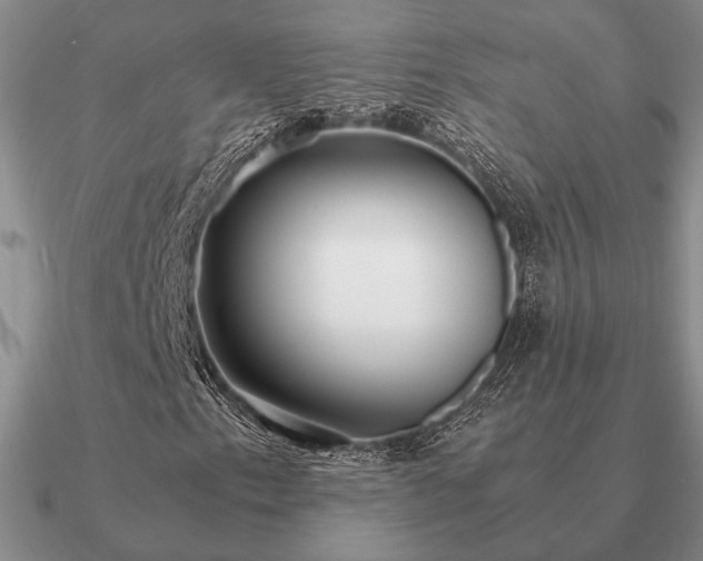 X0000090921153200708061537