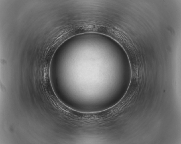 X0000090921154200708061537