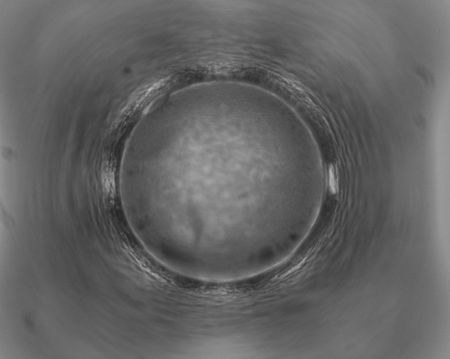 X0000090921155200708061537