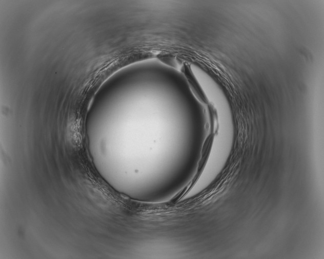 X0000090921156200708061537