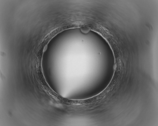 X0000090921158200708061537