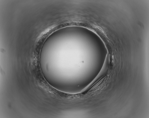 X0000090921159200708061537