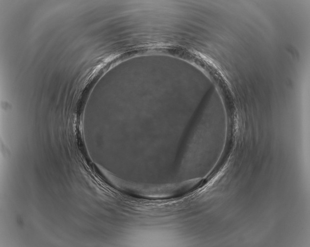 X0000090921161200708061537