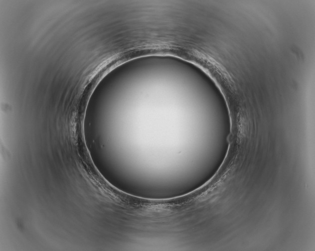 X0000090921162200708061537