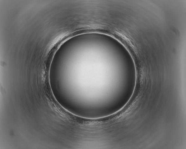 X0000090921163200708061537