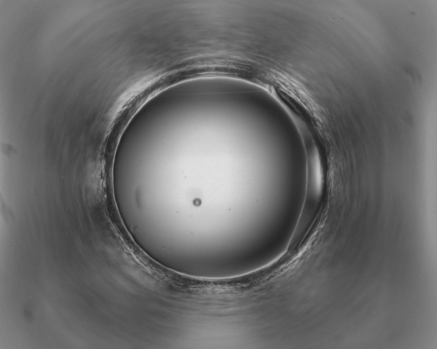 X0000090921164200708061537