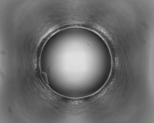 X0000090921165200708061537