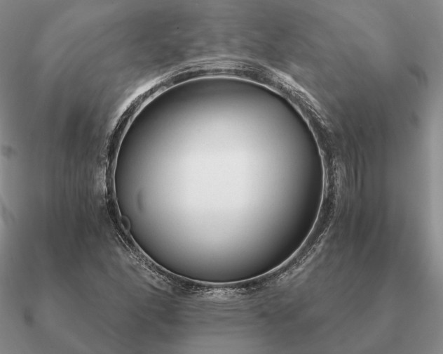 X0000090921166200708061537