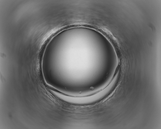 X0000090921167200708061537
