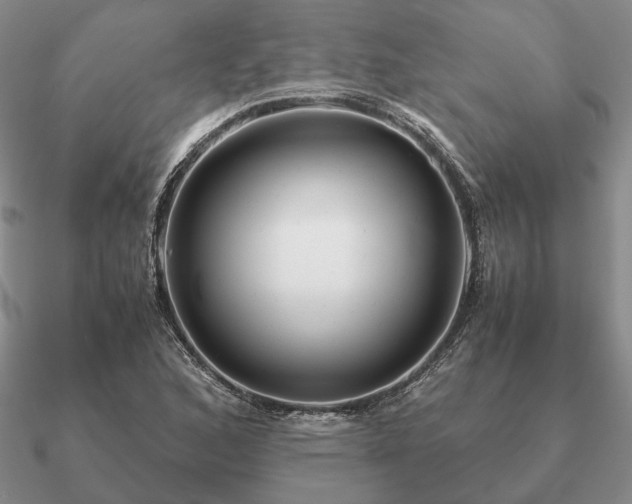 X0000090921168200708061537