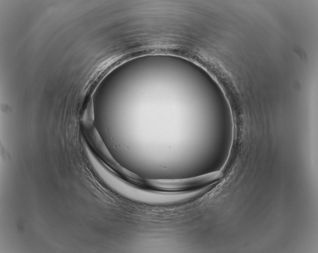 X0000090921169200708061537