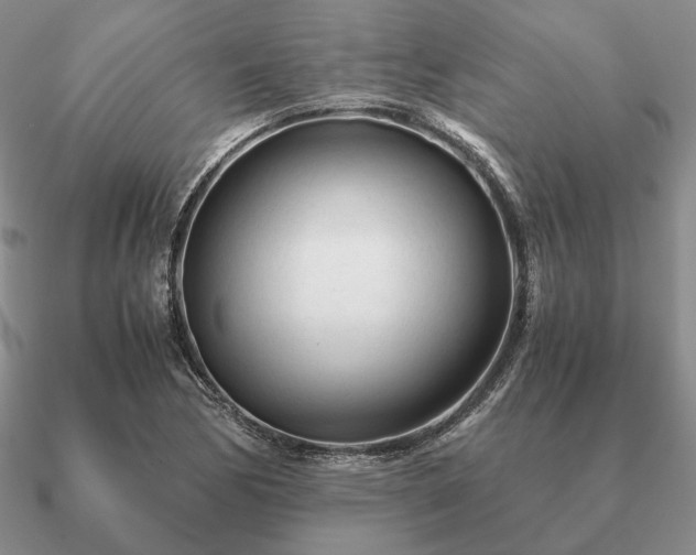 X0000090921170200708061537