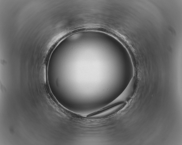 X0000090921171200708061537