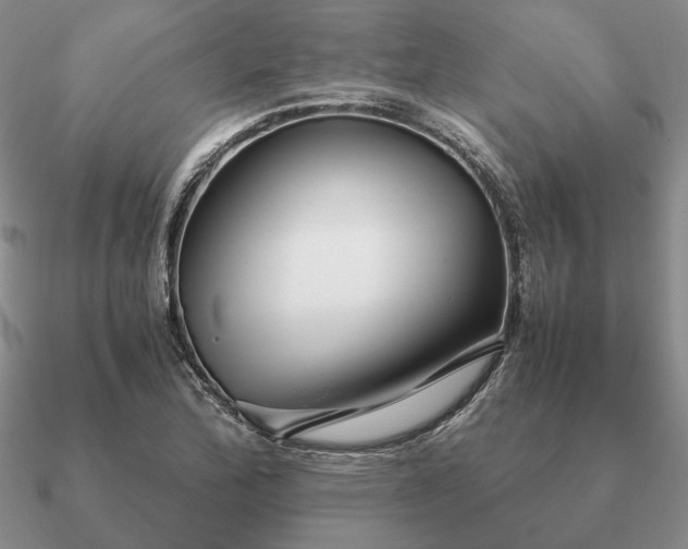 X0000090921172200708061537