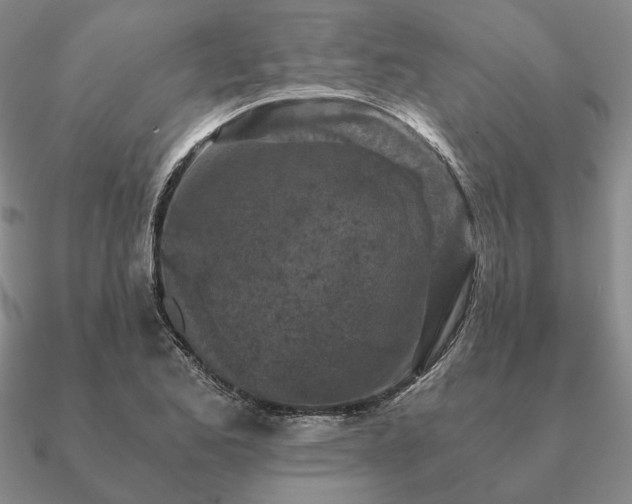 X0000090921173200708061537