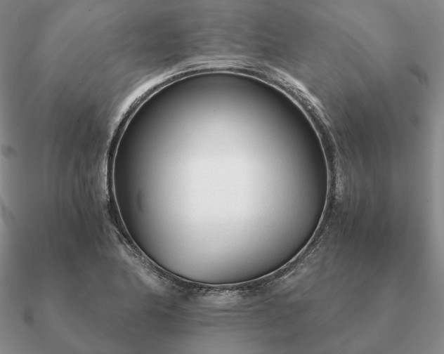 X0000090921174200708061537