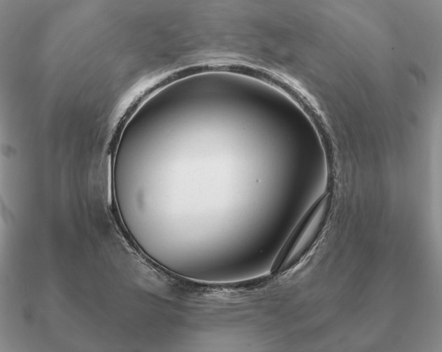 X0000090921175200708061537