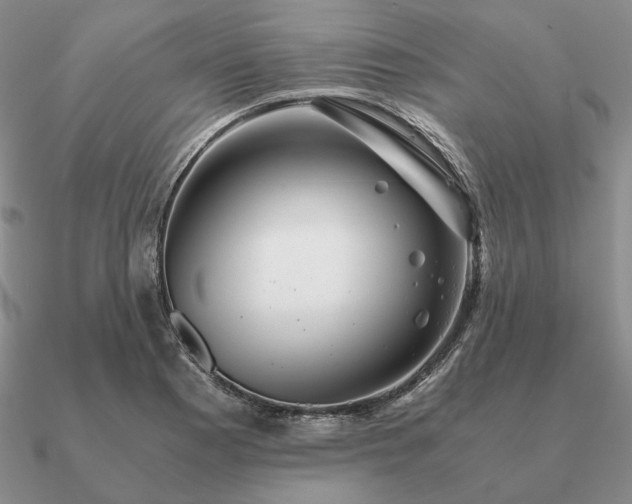 X0000090921177200708061537
