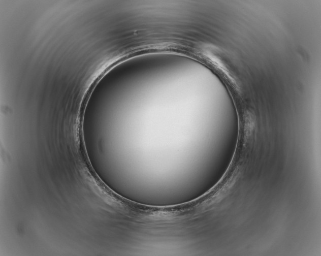 X0000090921178200708061537
