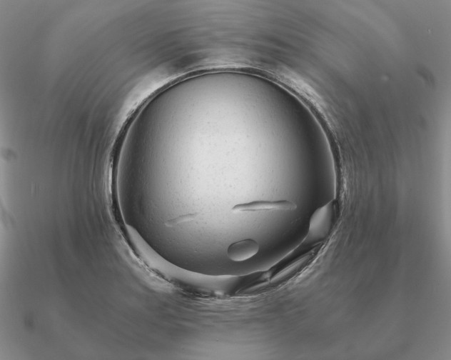 X0000090921179200708061537