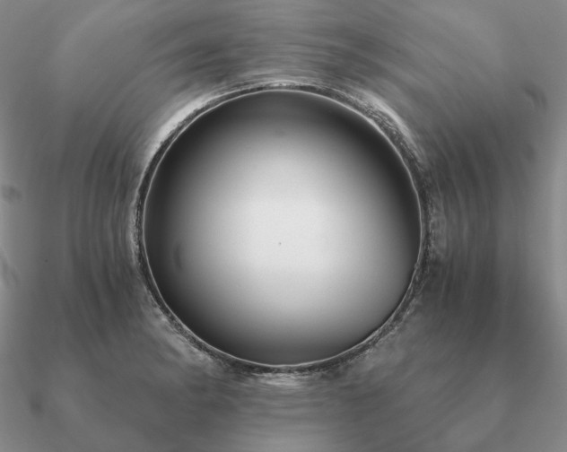 X0000090921182200708061536