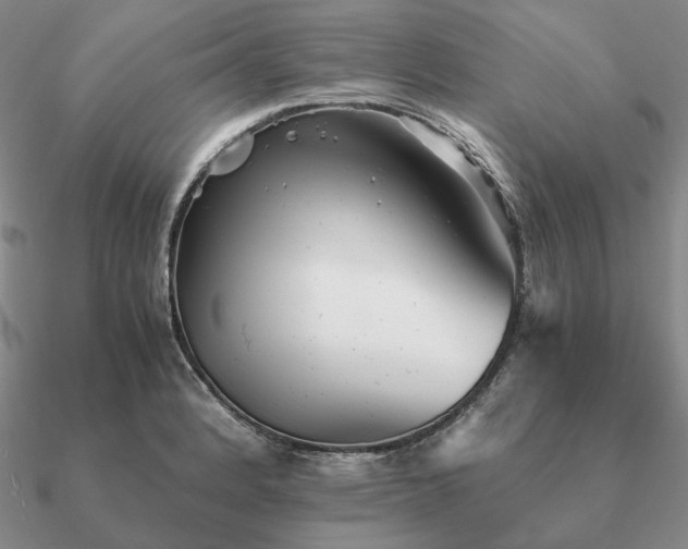 X0000090921184200708061536