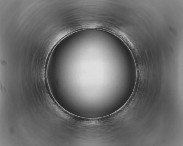 X0000090921186200708061536
