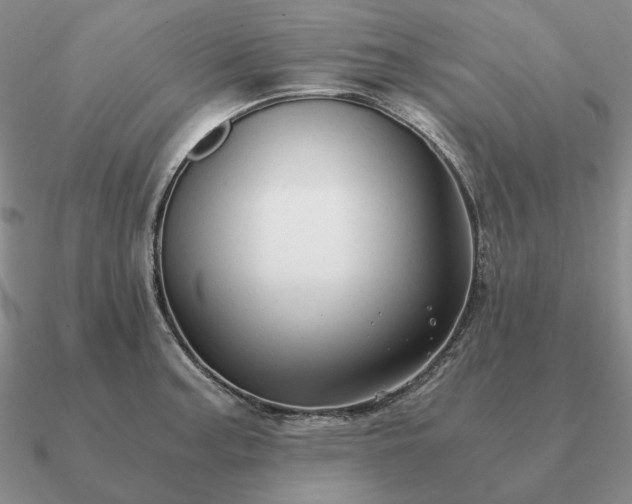 X0000090921187200708061536