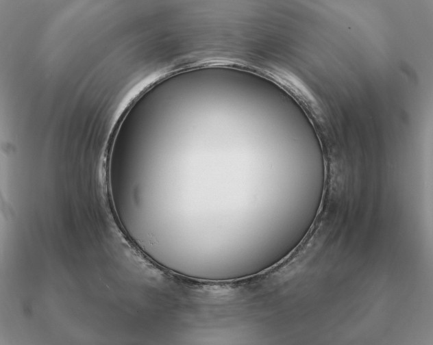 X0000090921190200708061536