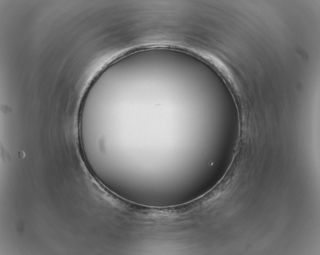 X0000090921191200708061536