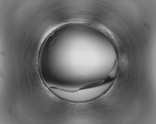 X0000090921192200708061536