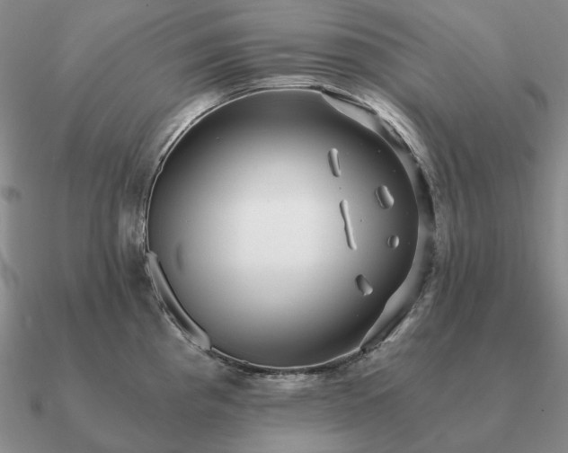X0000090921193200708061536