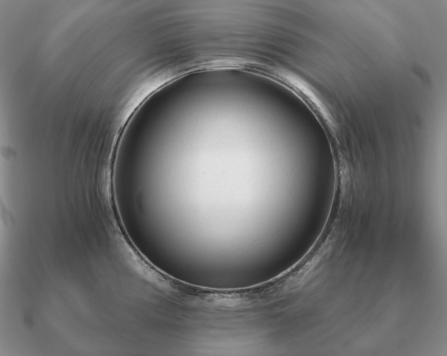 X0000090921194200708061536
