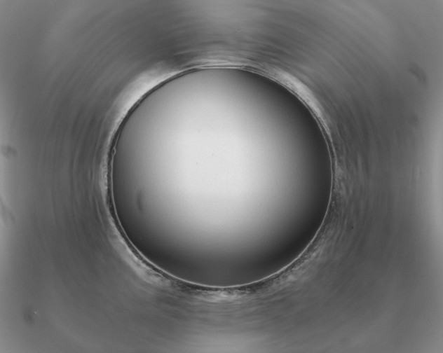 X0000090921195200708061536
