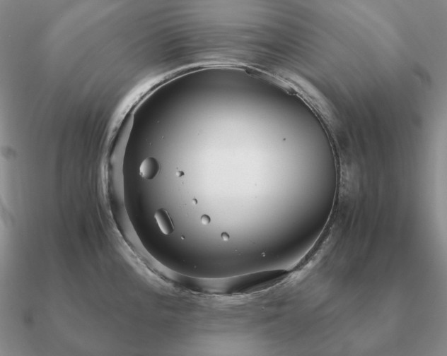 X0000090921196200708061536