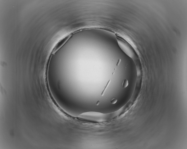 X0000090921197200708061536