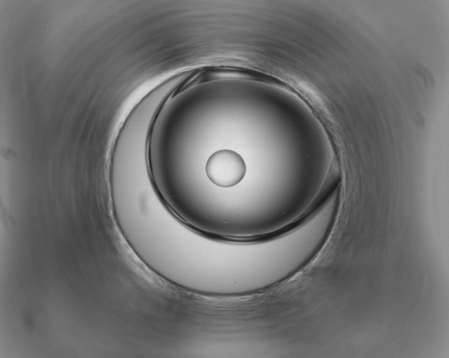 X0000090921200200708061536