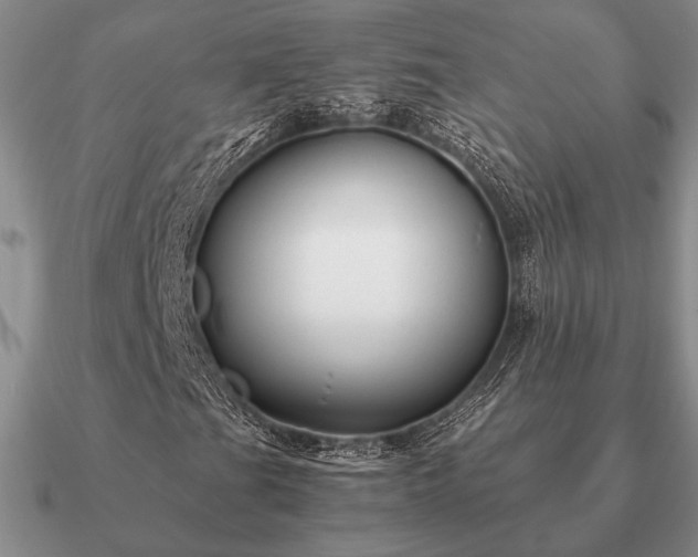 X0000090921201200708061536