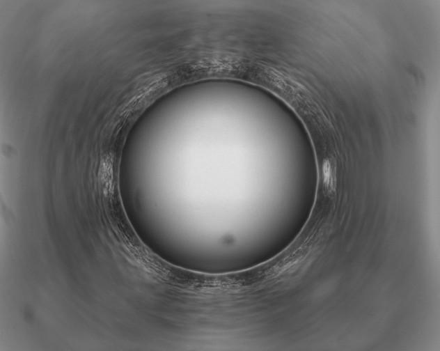 X0000090921203200708061536