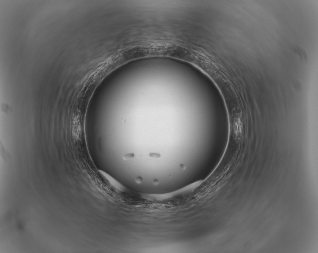 X0000090921204200708061536